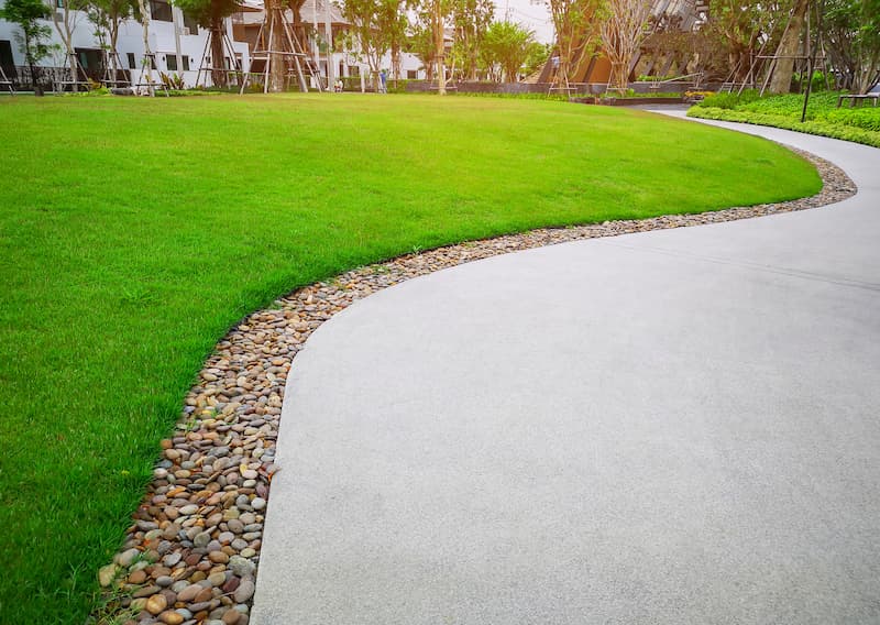 How Professional Lawn Care Can Transform Your Home's Curb Appeal