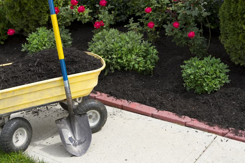 Creative Mulching: Using Color and Texture to Elevate Your Landscape