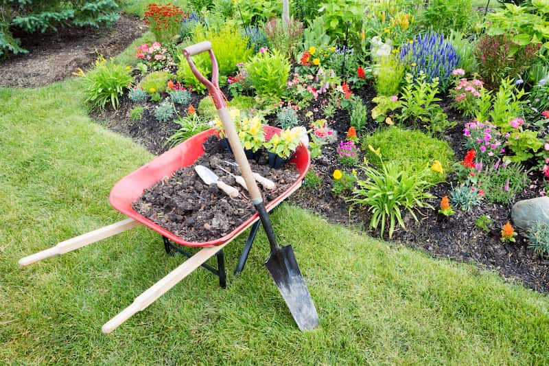 Landscape Bed Maintenance