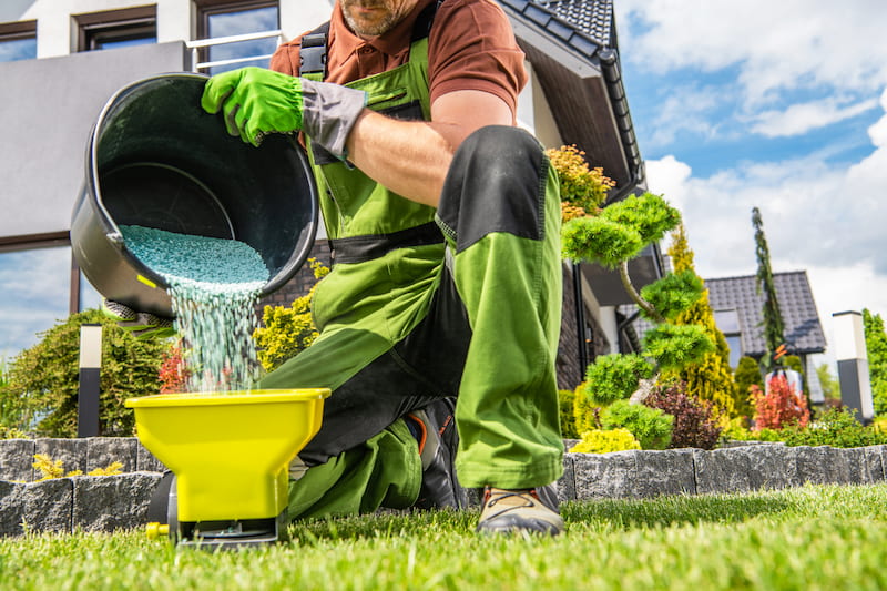 Top Dressing & Overseeding